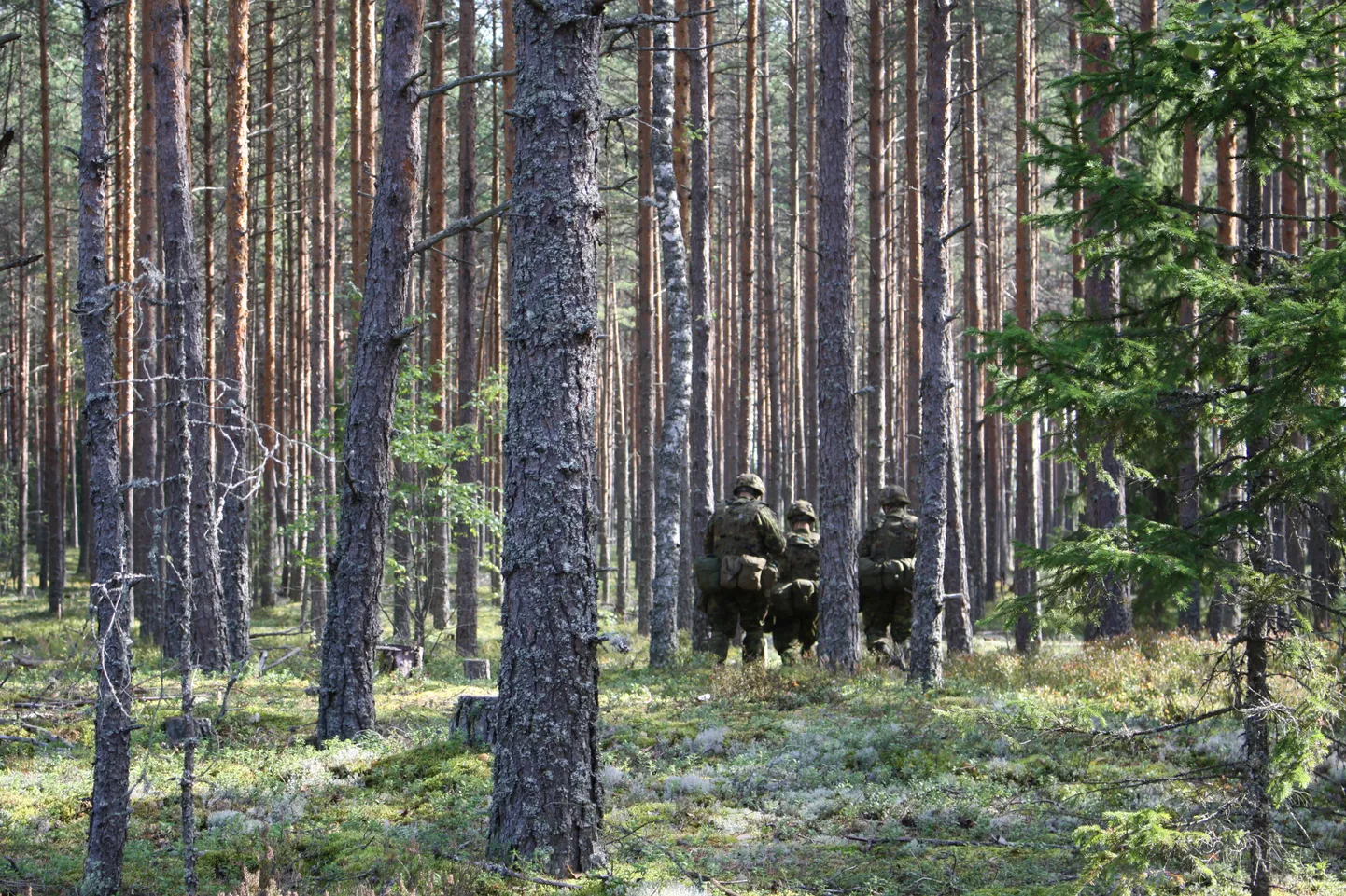 Mullu läksid Paide gümnasistid klassiga kaitseväkke aega teenima.