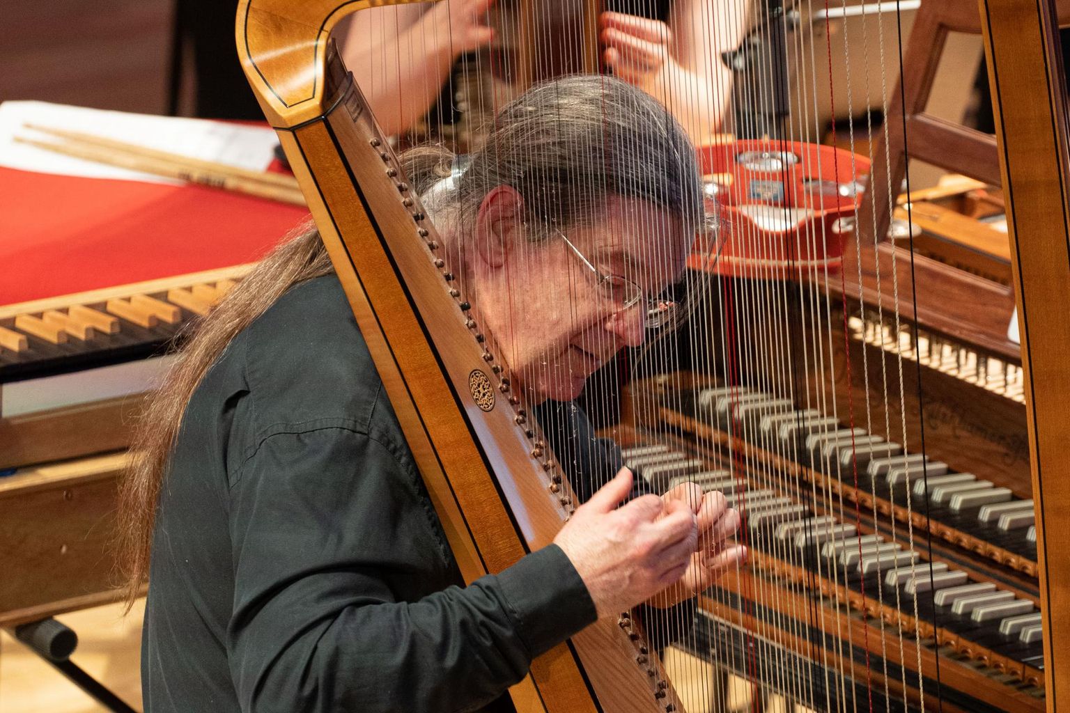 Pill, millel on palju võimalusi: Andrew Lawrence-King «Ariadnet otsides» kontsertettekandel harfipartiid esitamas.