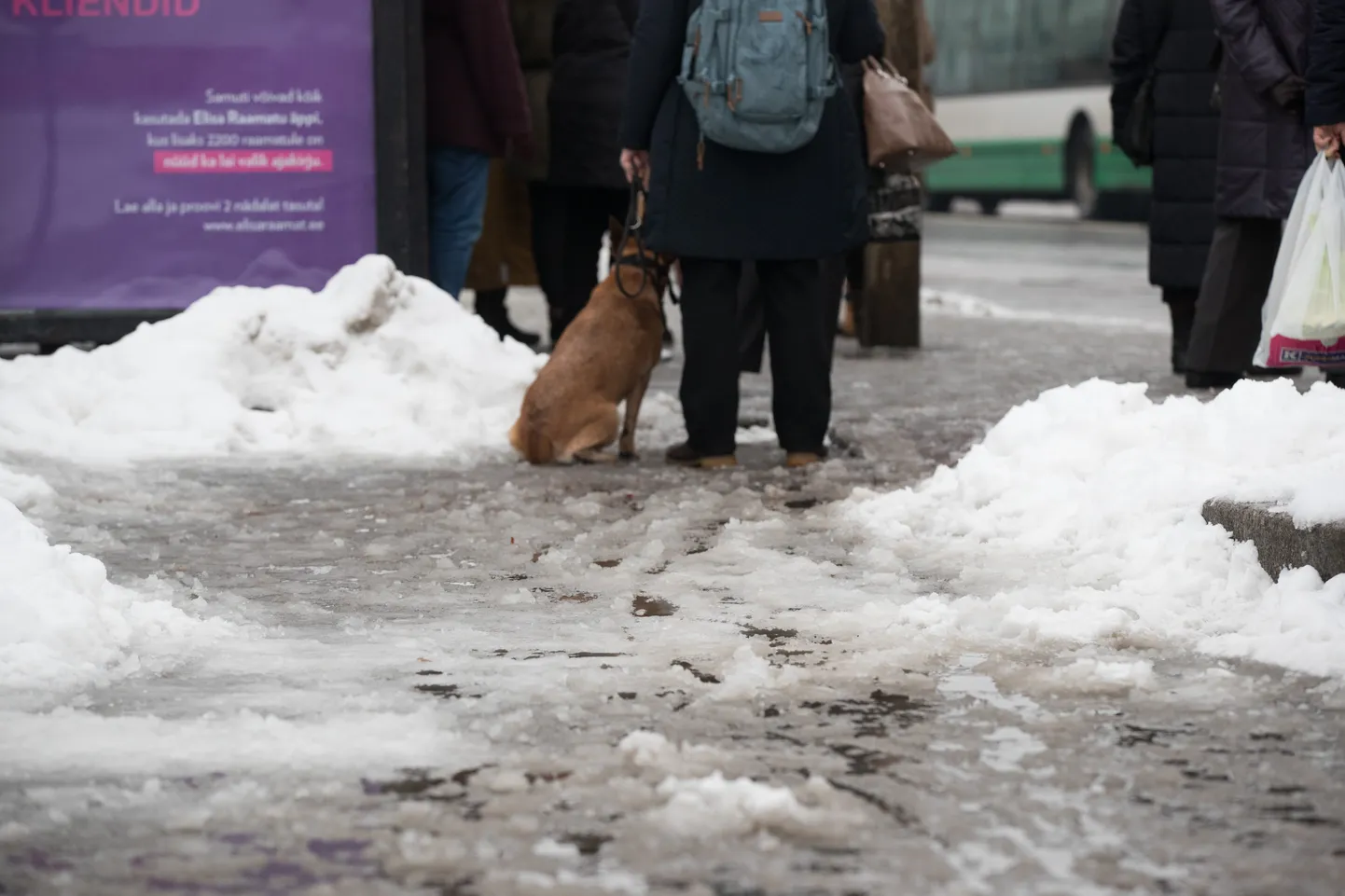 Talvekülma veel ei paista, aga lörtsi võib sadada küll.