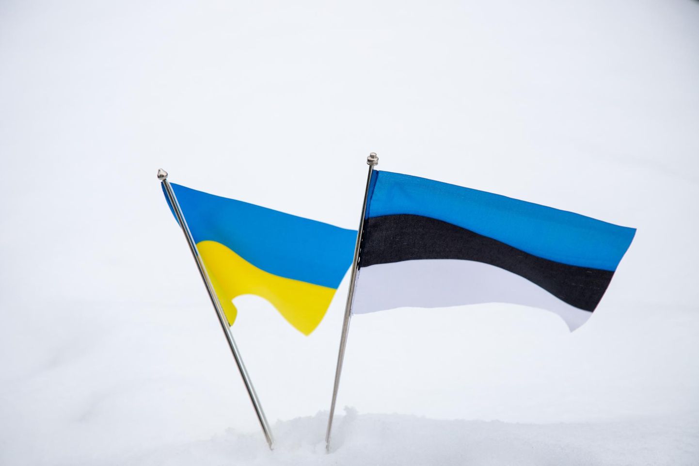 Флаг Эстонии и Украины.