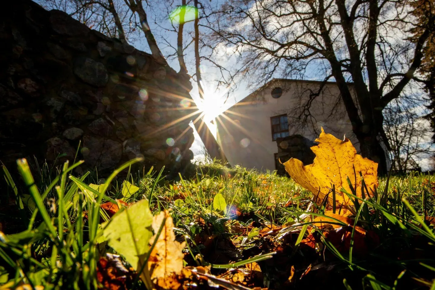 Laupäeval tuleb kuni 9 kraadi sooja.