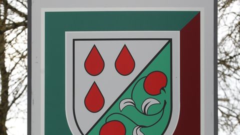 Radušās neskaidrības par vēl viena Olaines deputāta izglītību