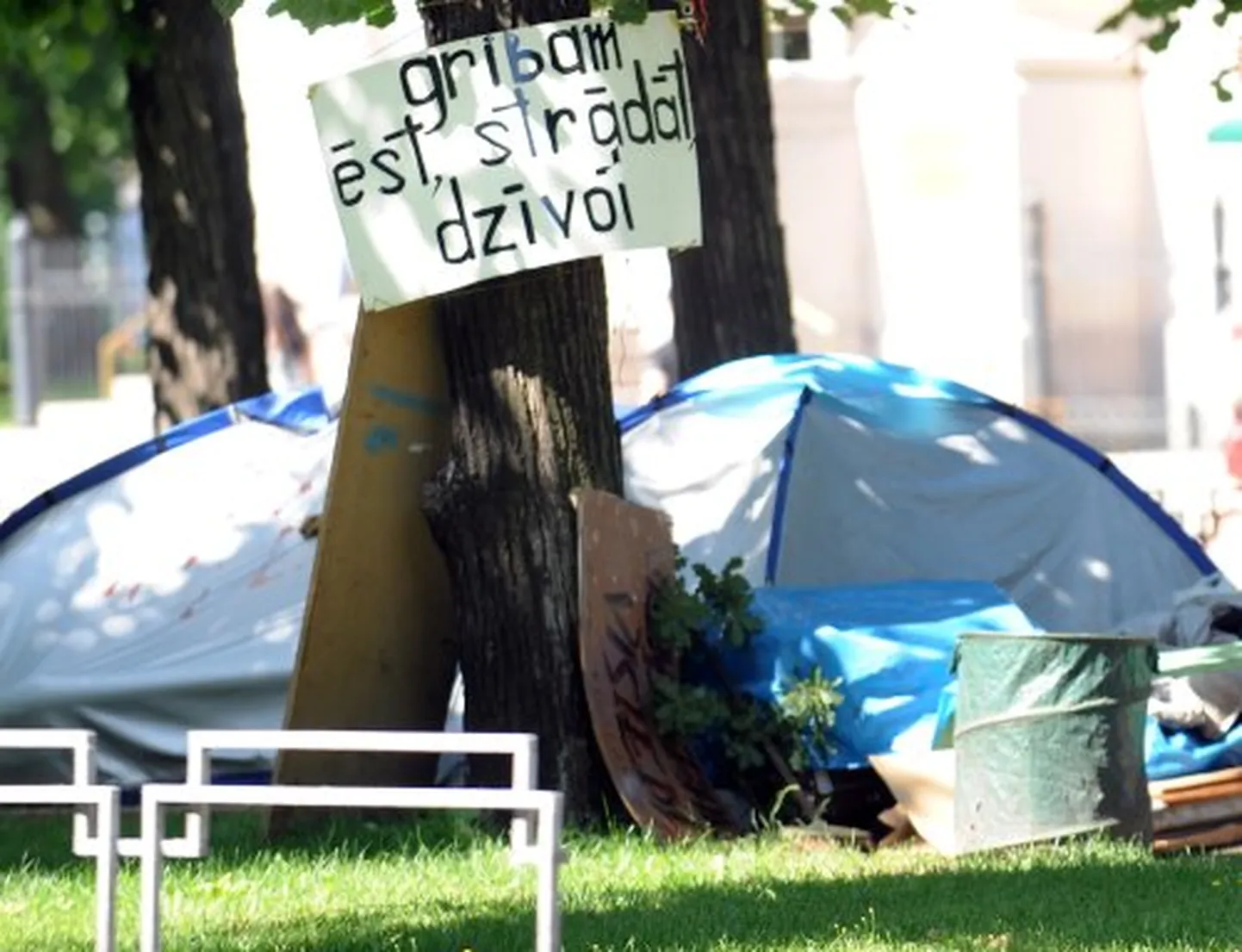 Raksta foto