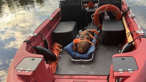 ФОТО ⟩ Отдыхающие на северном побережье Чудского озера нашли авиабомбу