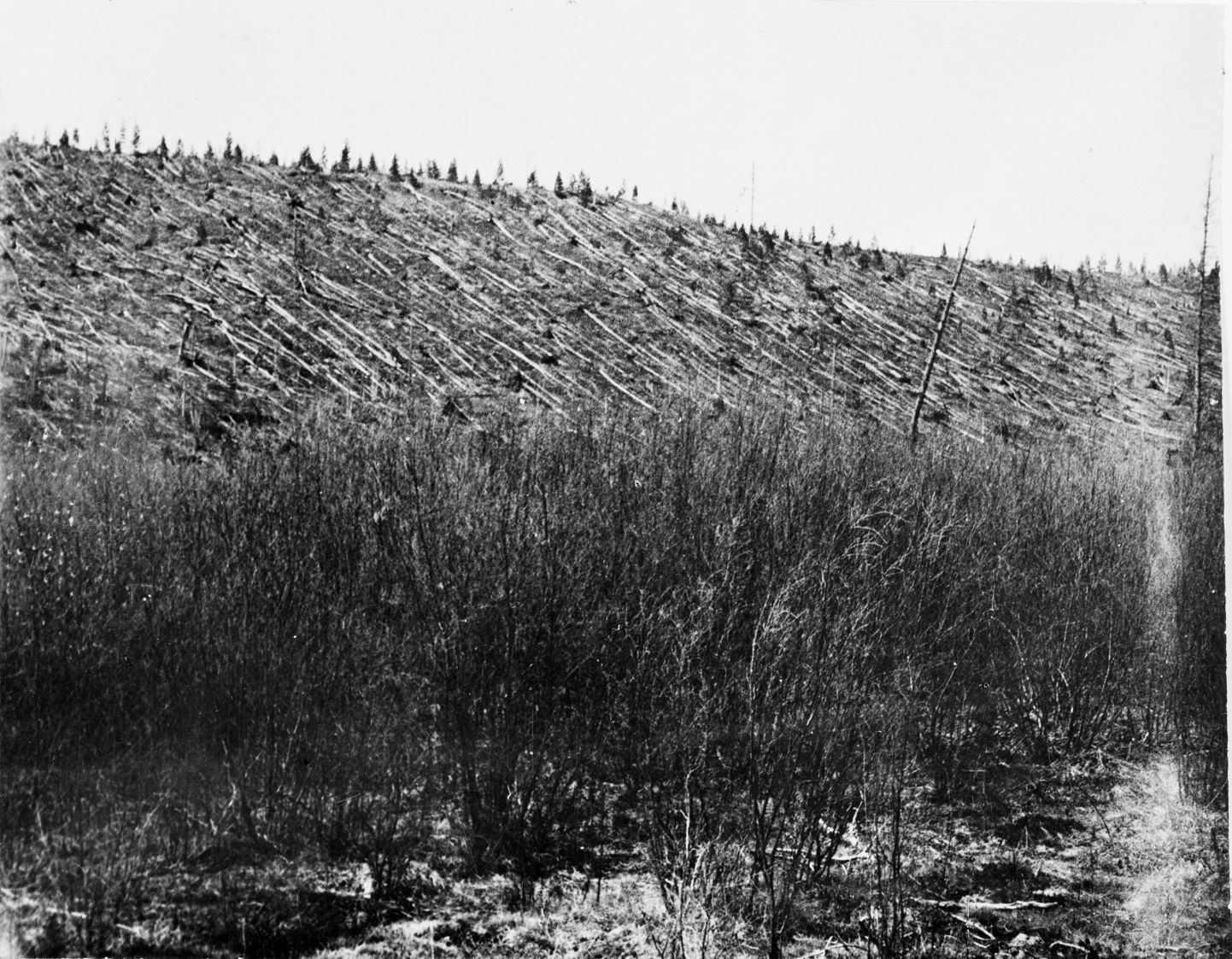 Tunguusi katastroof leidis aset 1908. Foto on tehtud 1920. aastatel