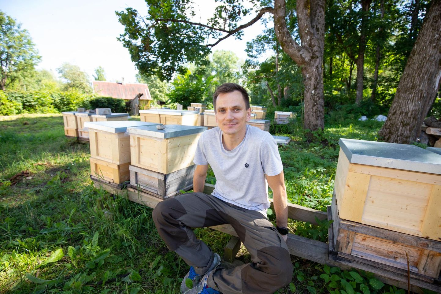Harro Rannamets ja tema ehedad mesilased Väike-Maarja lähistel.