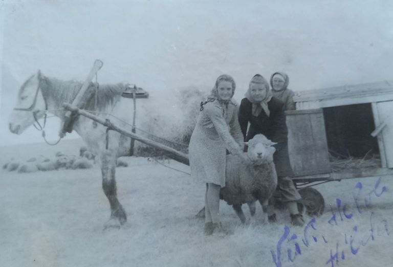 Хельве (в центре) пасет овец в Сибири.
