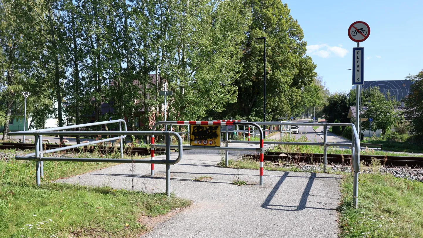 Aianduse ja Maasika tänava vahel asuv raudteeületuskoht on paljudele koolilastele igapäevaseks käiguteeks. Sinna peaks esimesena tunnel rajatama.