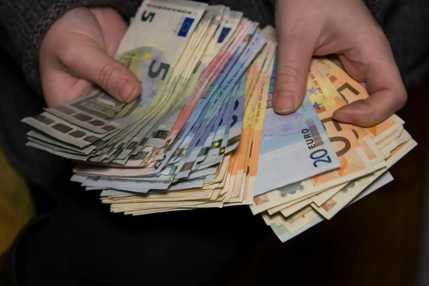 Kokku sai mees kahju vähemalt 55 218 eurot.