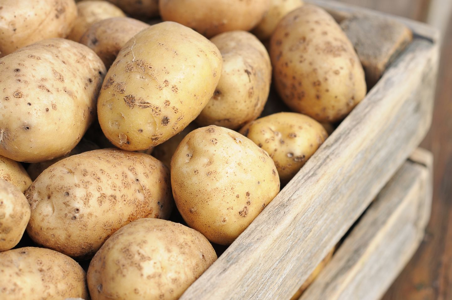Kartupeļi, Ilustratīvs attēls.