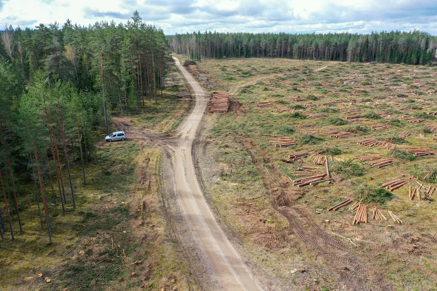 Nursipalu harjutusvälja planeeritav laiendusala