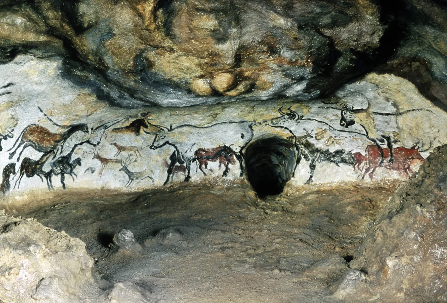 Lascaux koopad