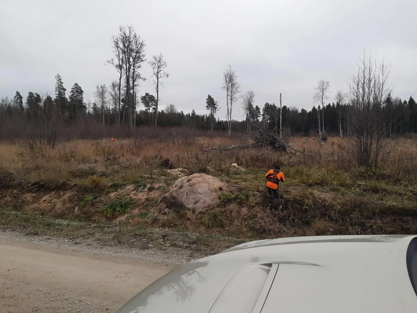 Trimmerdajad kinnistul Sonda metskond 150 Letipea külas.