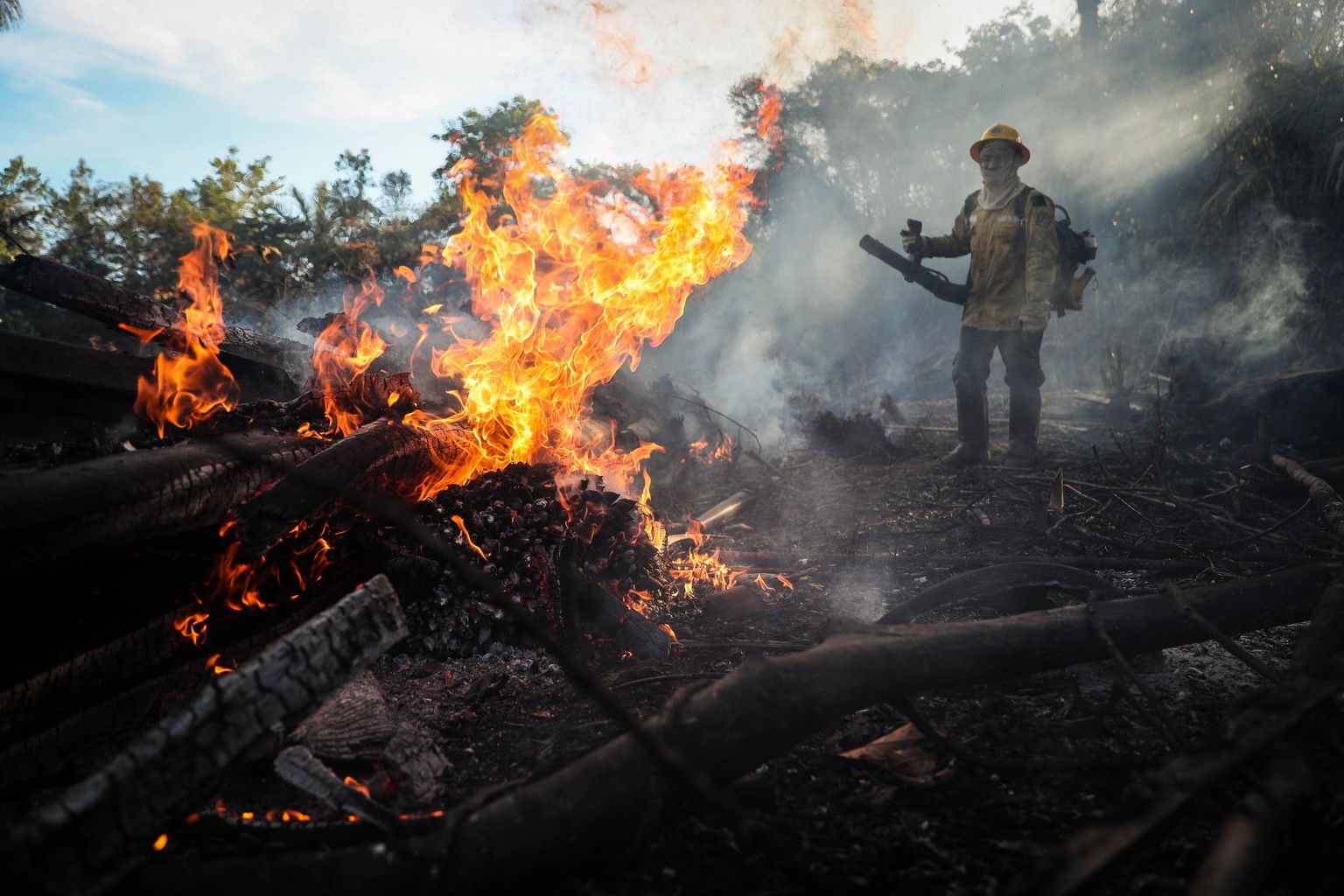 Amazonase vihmametsi raiutakse ja põletatakse põllumaa tekitamiseks.