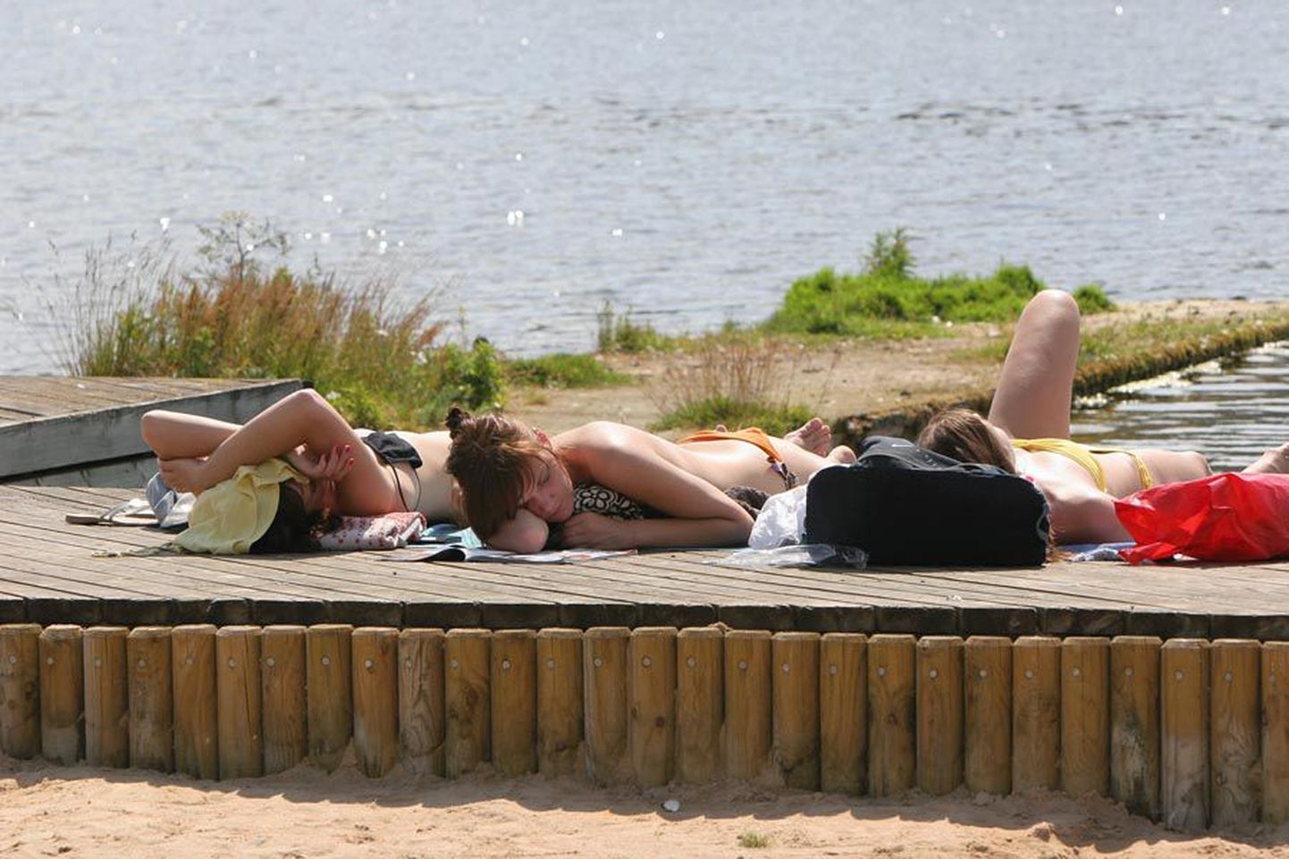 Suvitajad soovivad Viljandi järve vesikasvude niitmist.