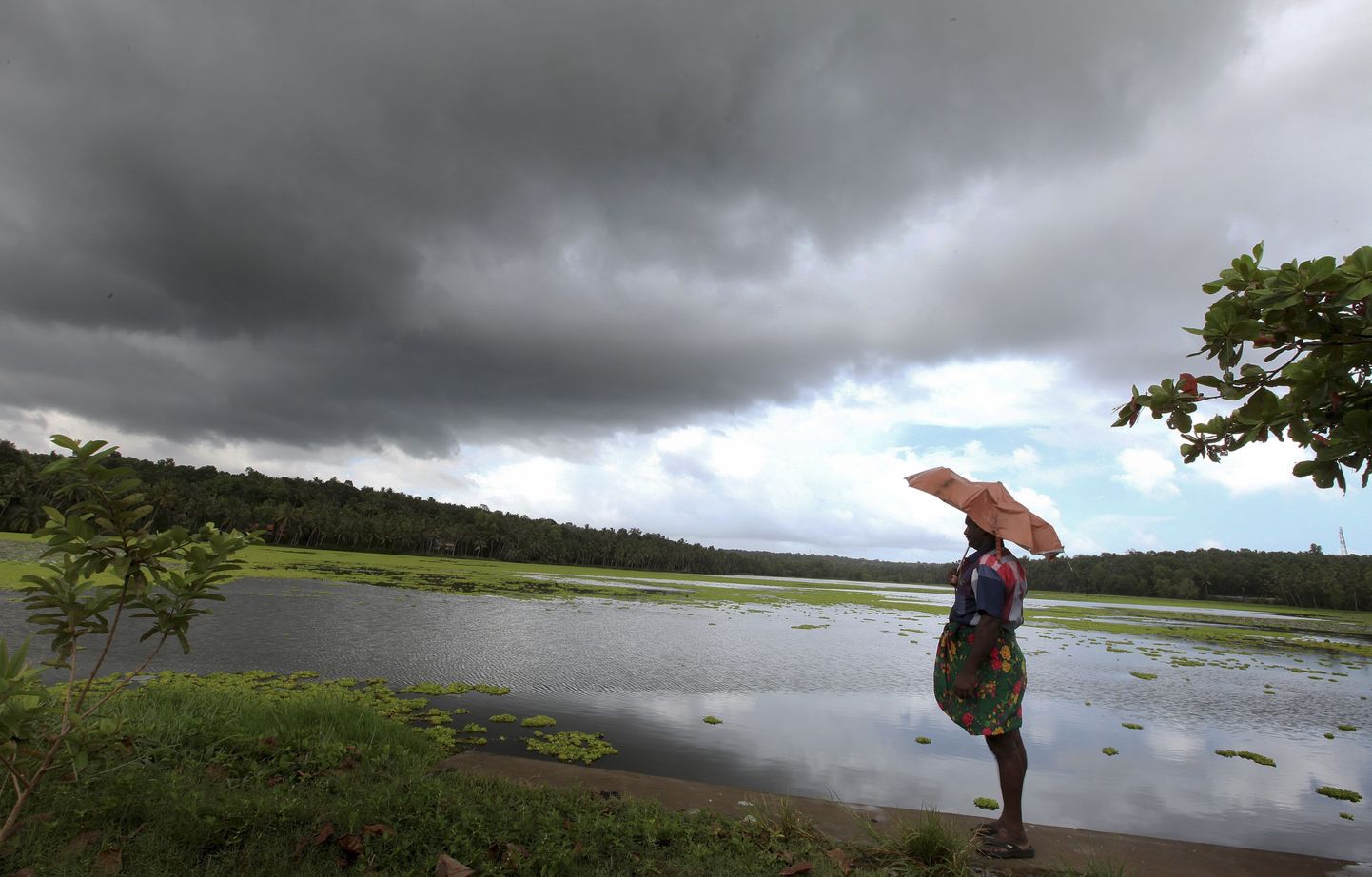 Mussoonvihmad on India põllumajanduse jaoks üliolulised.