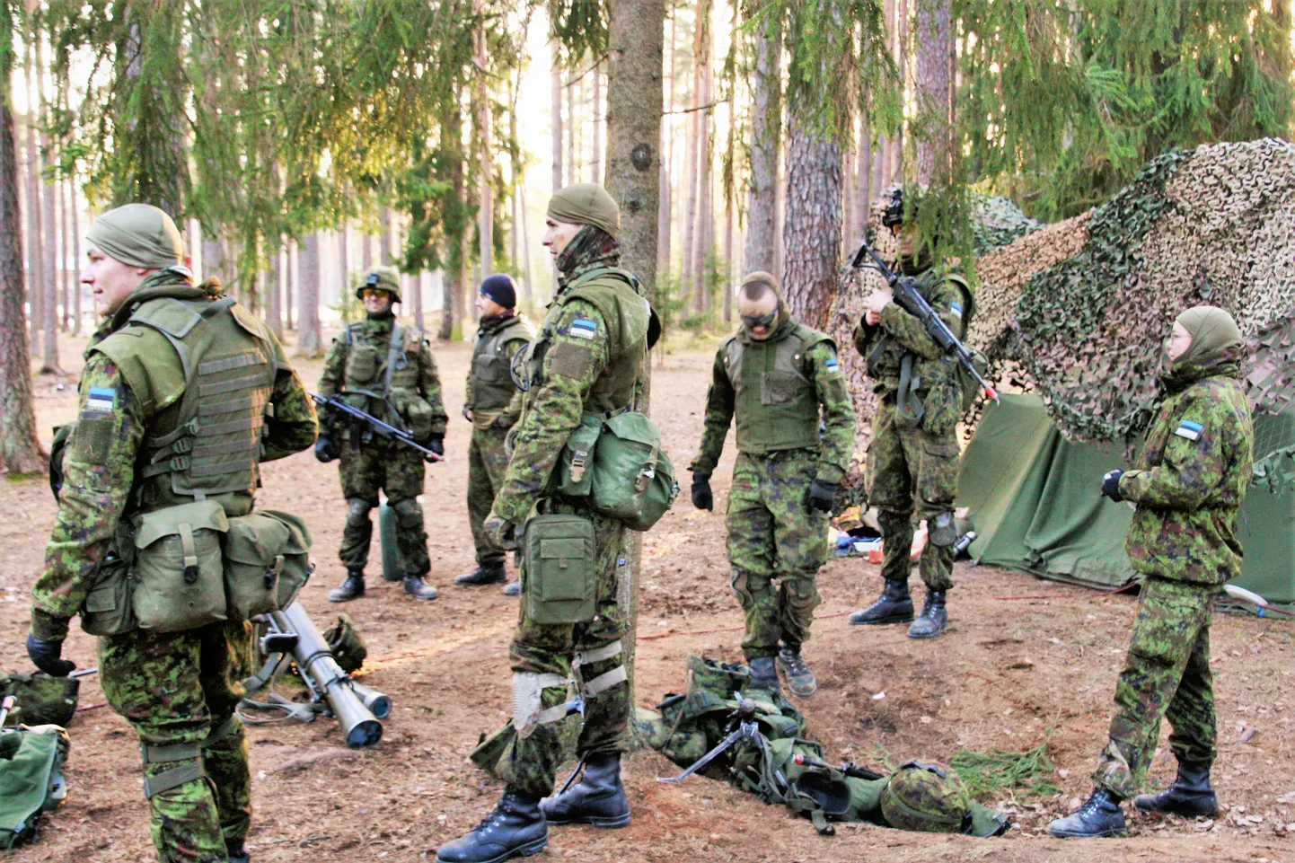 Nursipalu harjutusväli.
