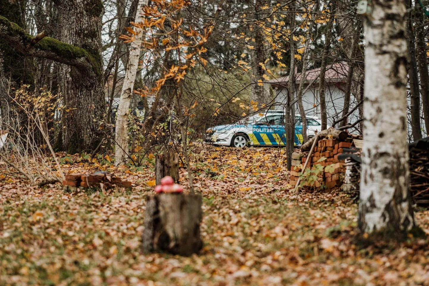 Kuigi ­väikest viisi tegeldakse politseikooli maa peal potipõllundusegagi, on suurem osa endistest aiamaalappidest muutunud tühermaaks.