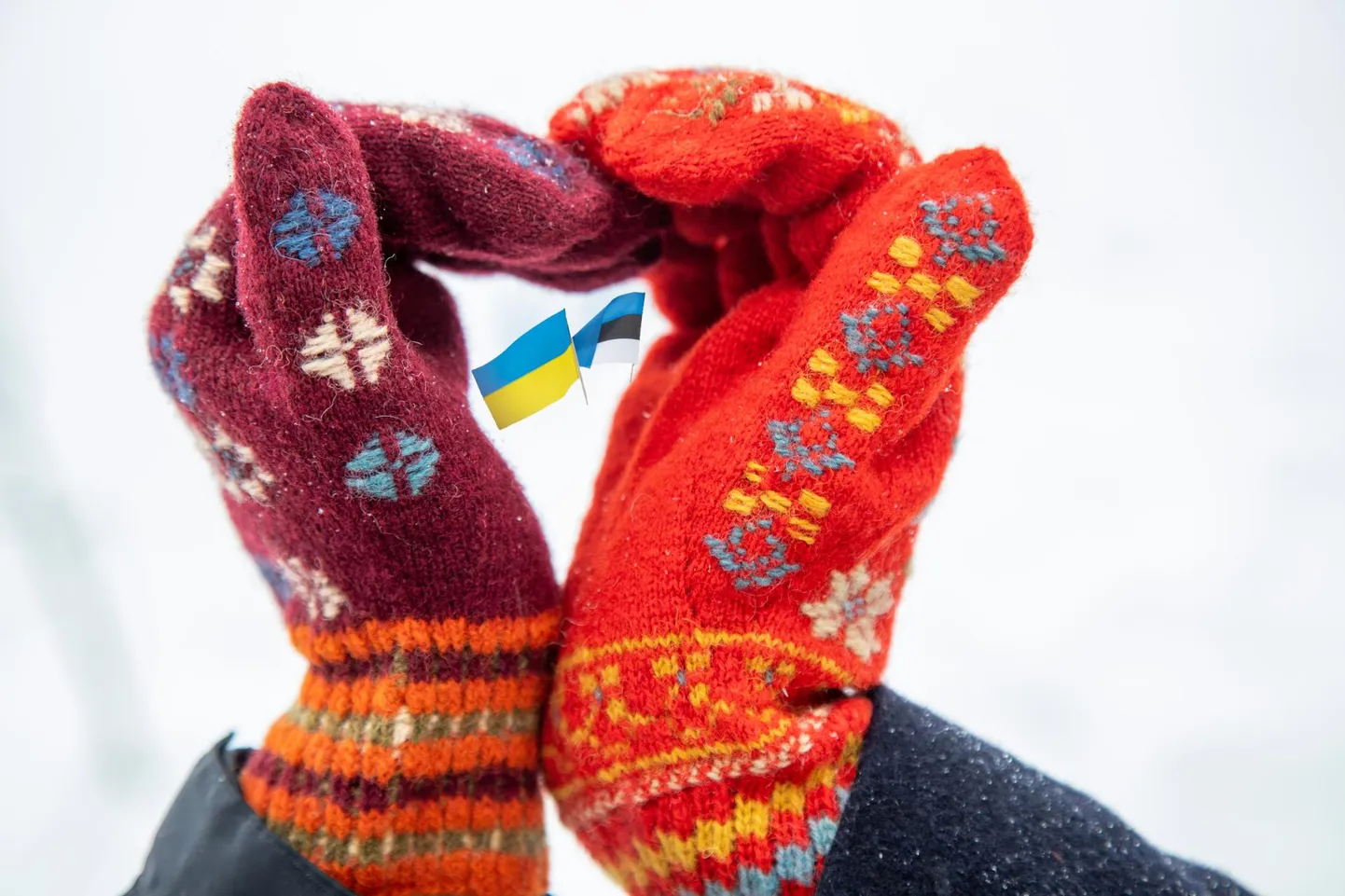 Eesti ja Ukraina lipp Tarvastu kihelkonna mustriga kinnastest moodustatud südames.