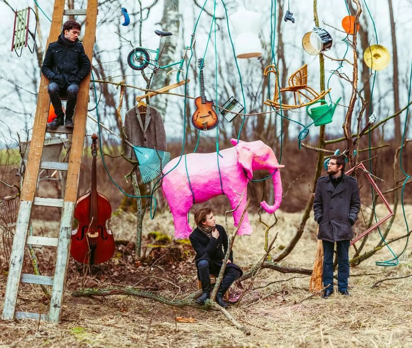 The Pink Elephant.