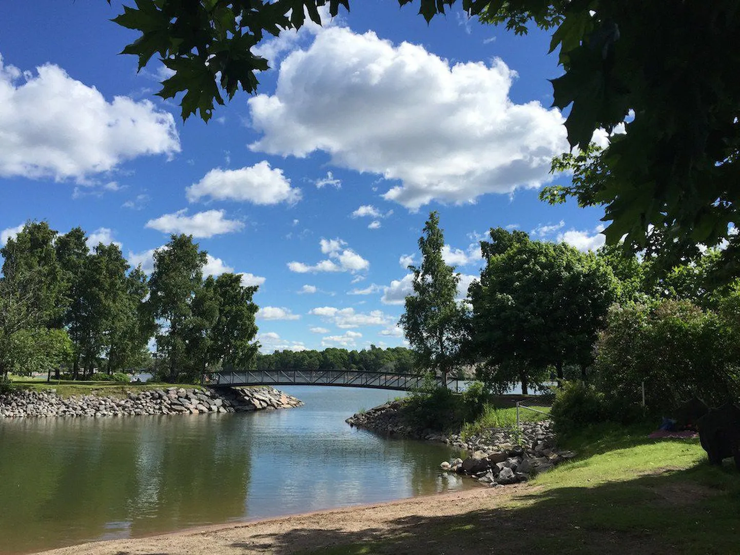 Tervasaari