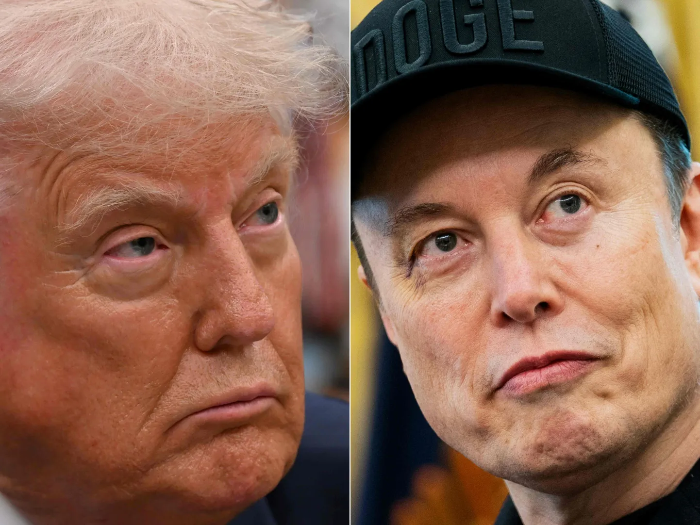 Donalds Tramps un Īlons Masks.