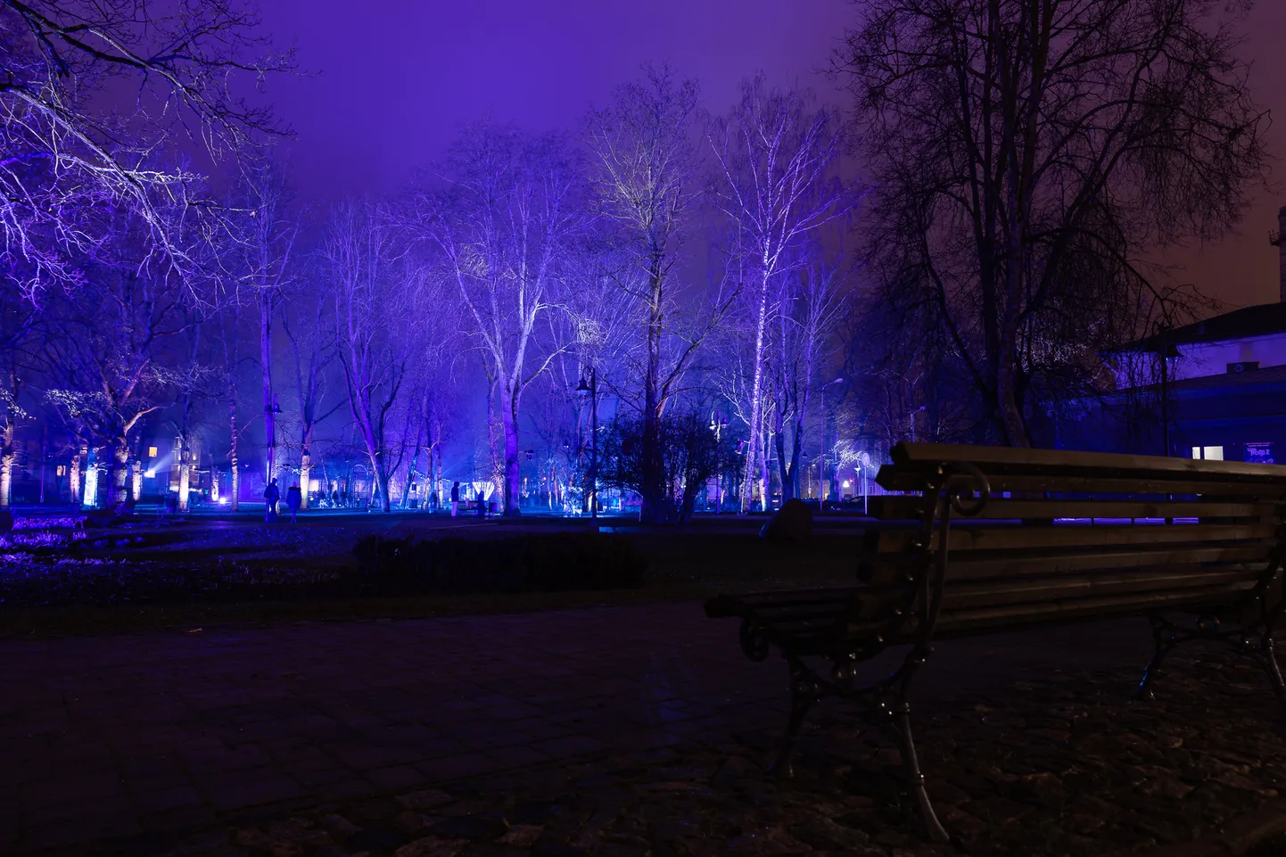 Raksta foto