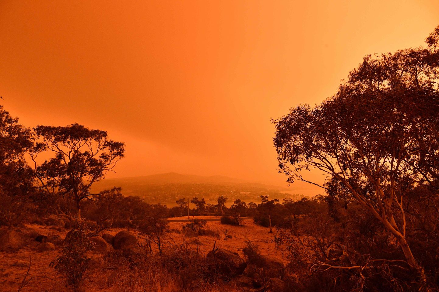Põleng austraalias