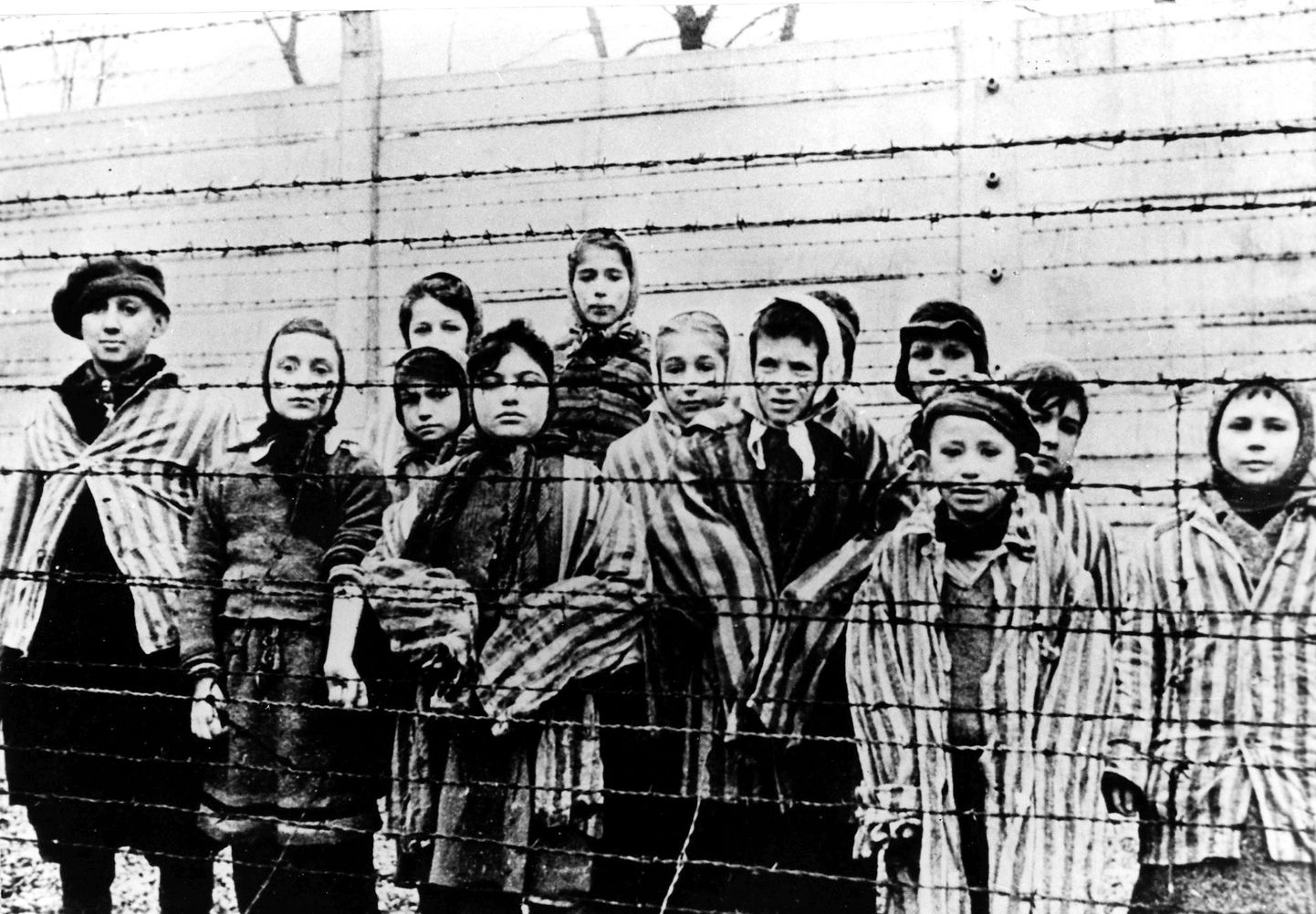 Juudilapsed Poolas Auschwitzi koonduslaagris.