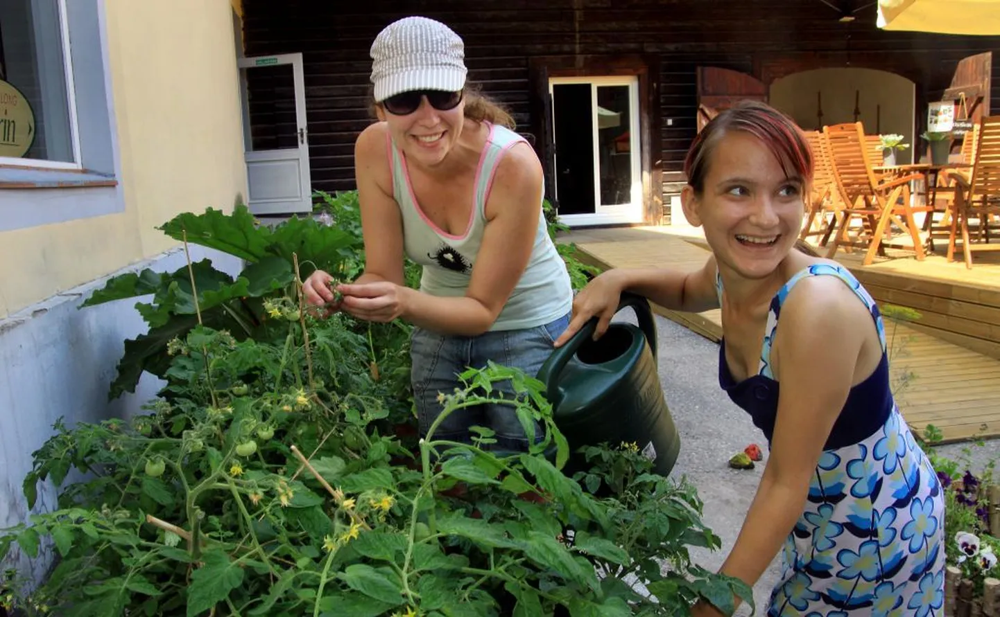 Laura (kastekannuga) ja Kristel rõõmustavad, sest nende endi hooldatud tomatitaimed kannavad juba vilju.