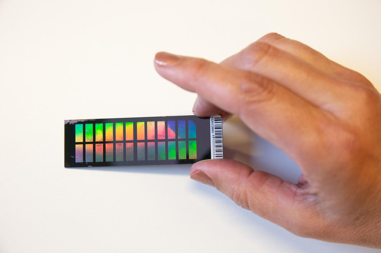 Geenikiip läigib nagu peegel ja heidab valgust püüdes vikerkaarevärvilisi mustreid. Kiip on jagatud 24 kastikeseks, ja igas, vähema kui ühe ruutsentimeetri peal on ühe inimese genoomi võtmekohad.