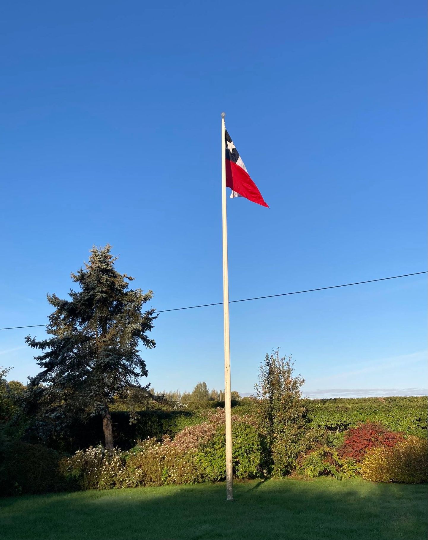 Чилийский флаг в домашнем саду Алара Кариса.