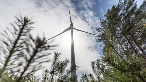 URMAS MARANIK ⟩ Inetu tõde: mille arvelt kerkivad riiklikult planeeritud tuulikud?