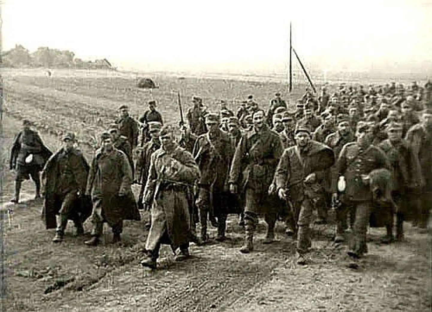 Vangistatud Poola ohvitserid, kellest suurem osa hiljem Katõnis hukati.