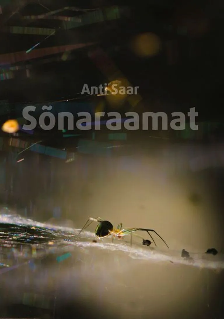 Anti Saar, «Sõnaraamat»