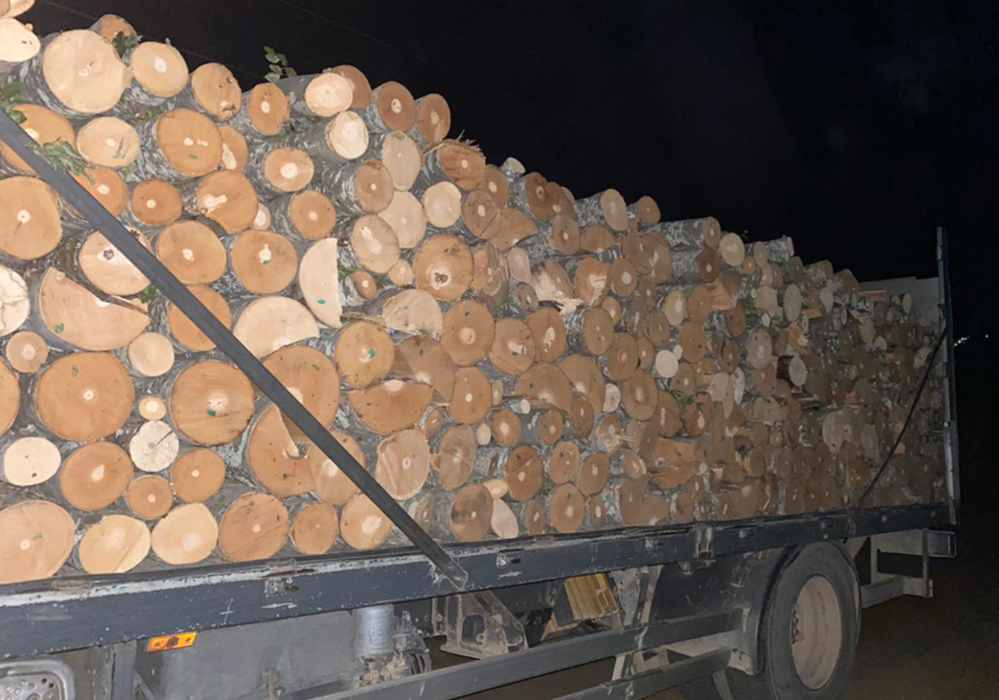 Makedoonia õiguskaitsjad said kätte suure ebaseadusliku puidusaadetise.