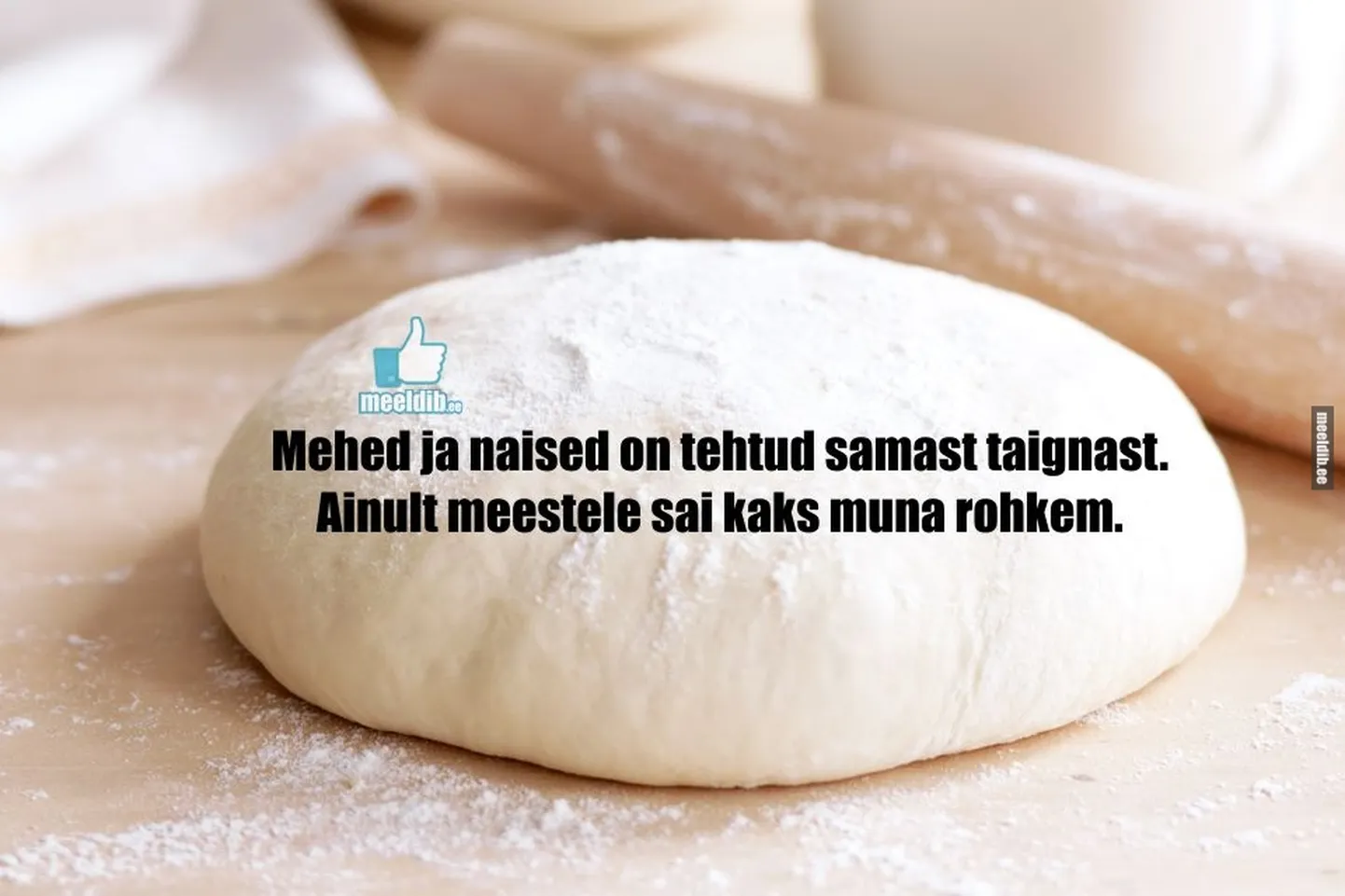 Artikli foto