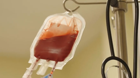 VIDEO ⟩ Kas ir dzīvnieku asinsbanka un kur tā atrodas?