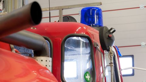 PÄÄSTEAMETI TEATED ⟩ Koer kukkus kraavi