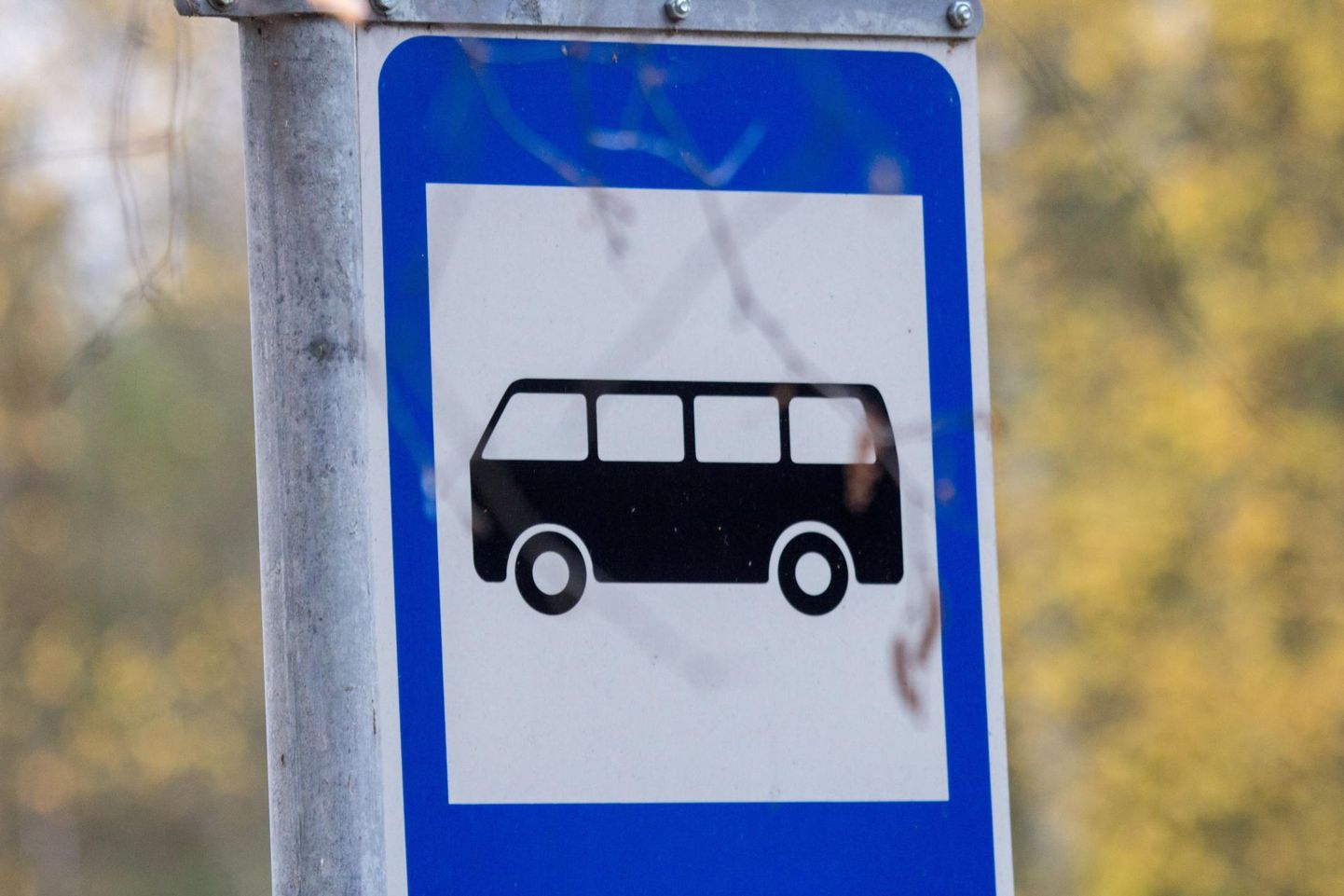 Bussipeatus. Pilt on illustratiivne.