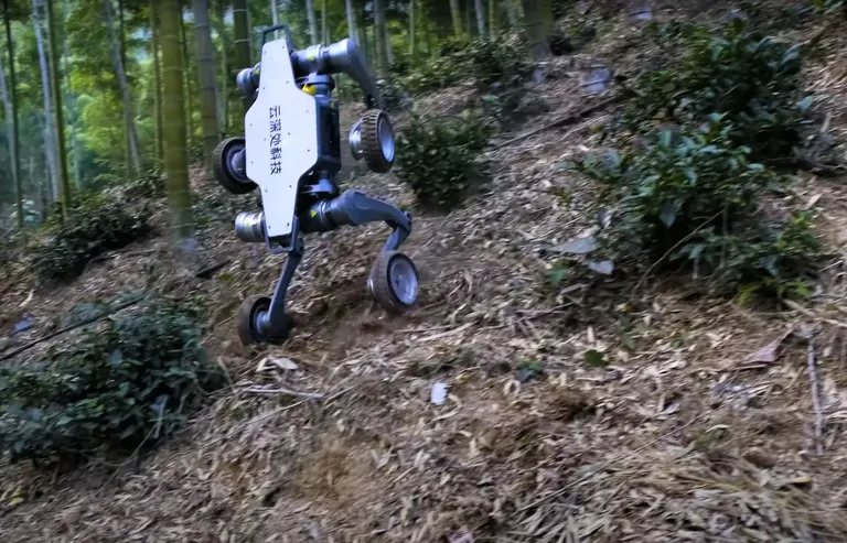 Klipi tipphetkedeks olid roboti juhitud laskumine järsust nõlvast, liikumine kahel rattal ja 80 cm kõrguse kivimüraka ületamine.