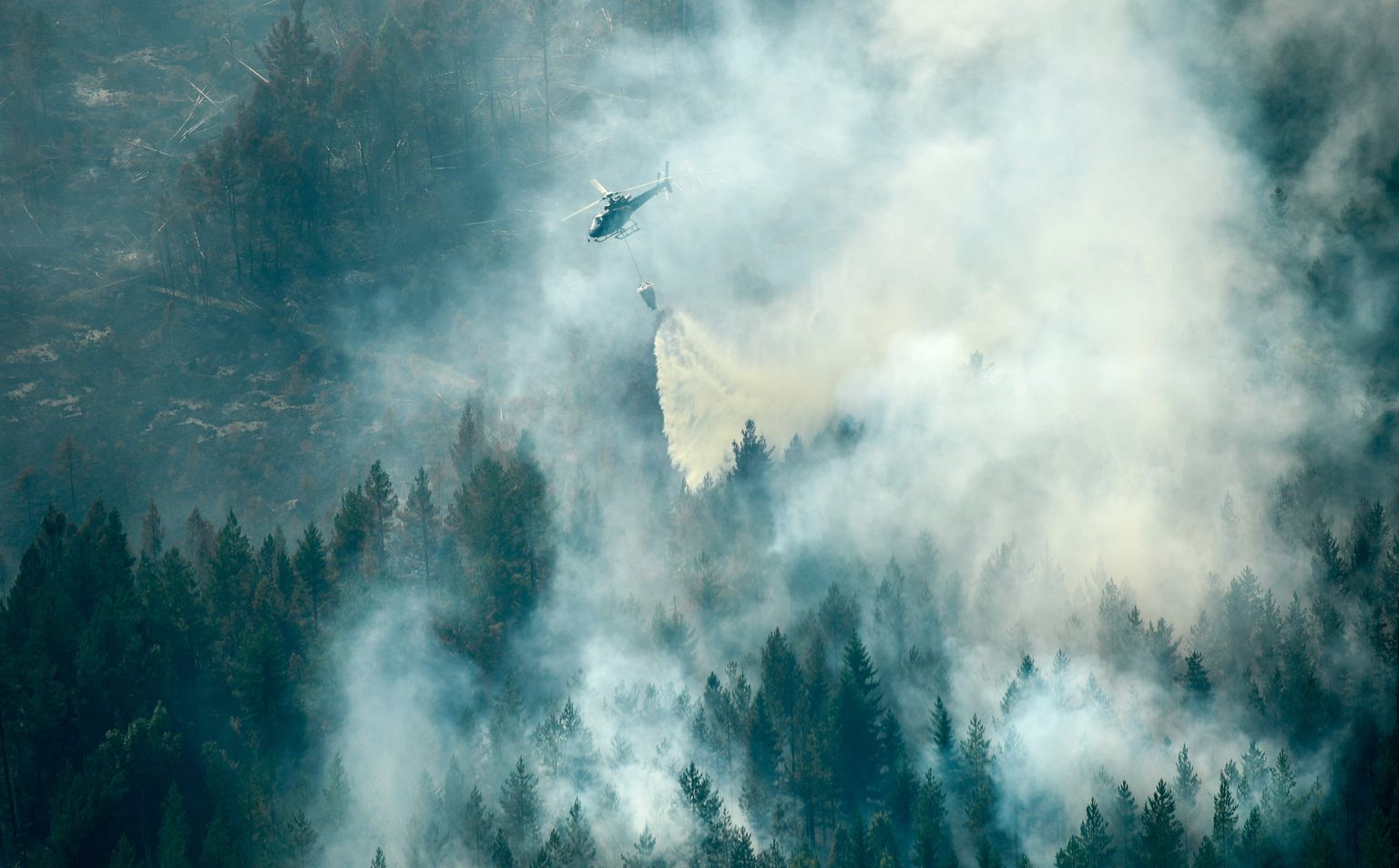 Mežu ugunsgrēks Zviedrijā