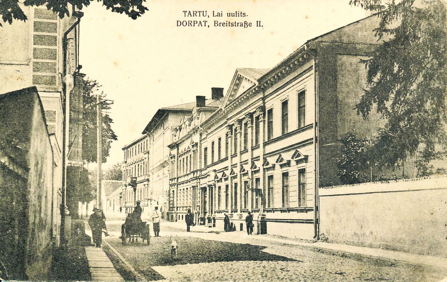Jäädvustus esinduslike hoonetega Laiast tänavast 19. sajandi esimesest poolest, mil linnas liikusid kordnikud ja lippasid ringi koerad.