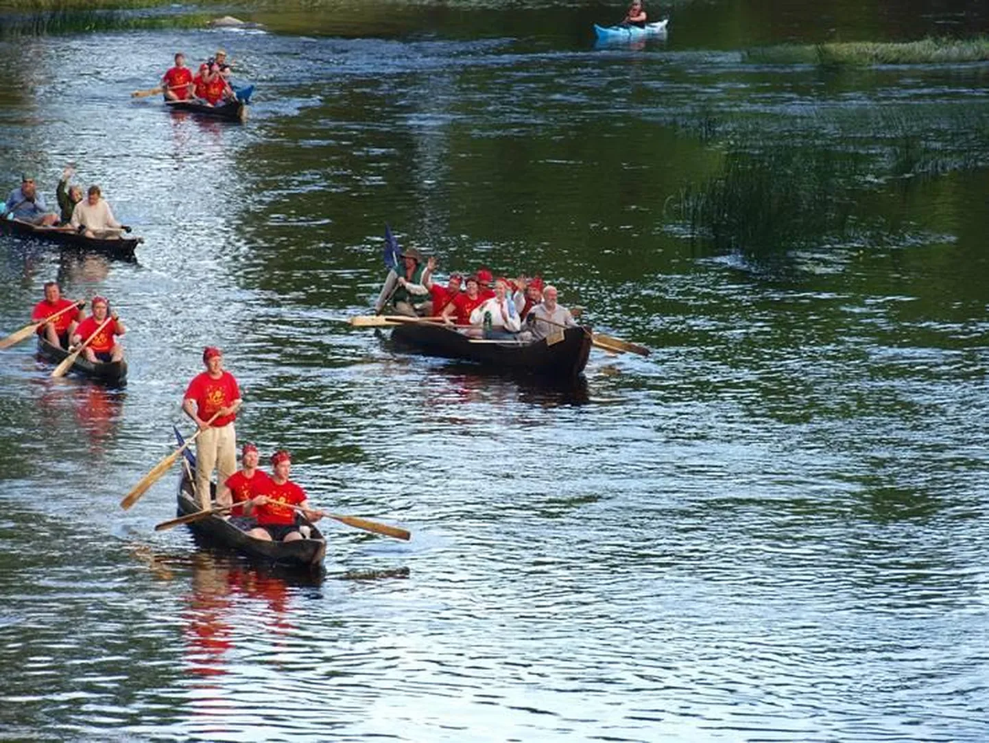 Laulupeotule viimine haabjaga 2009. aastal.