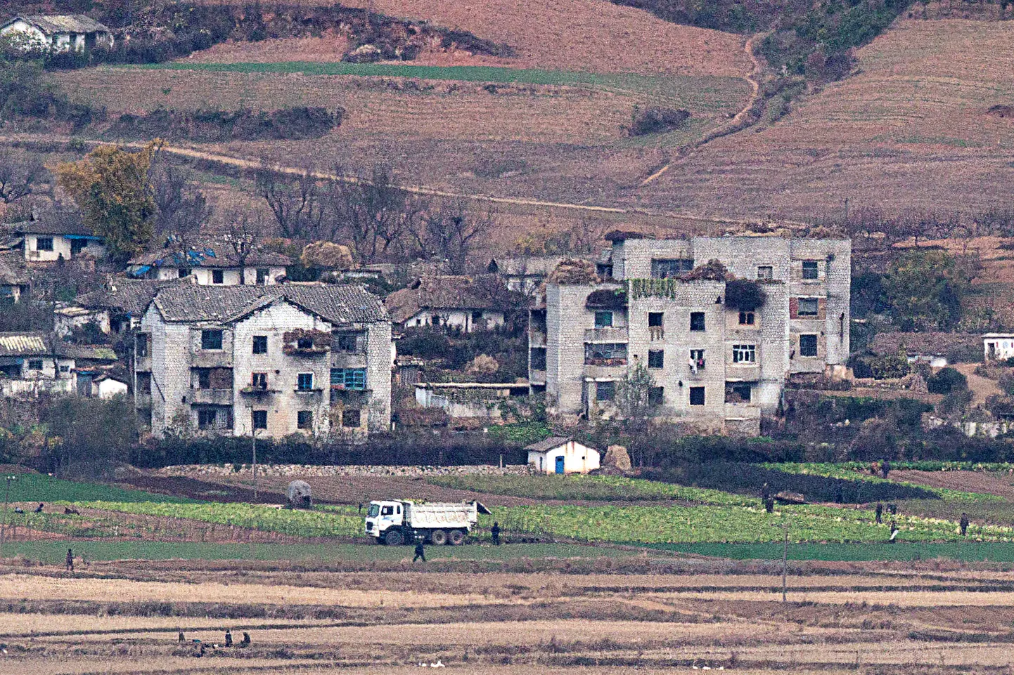 Ziemeļkoreja, 3. novembris