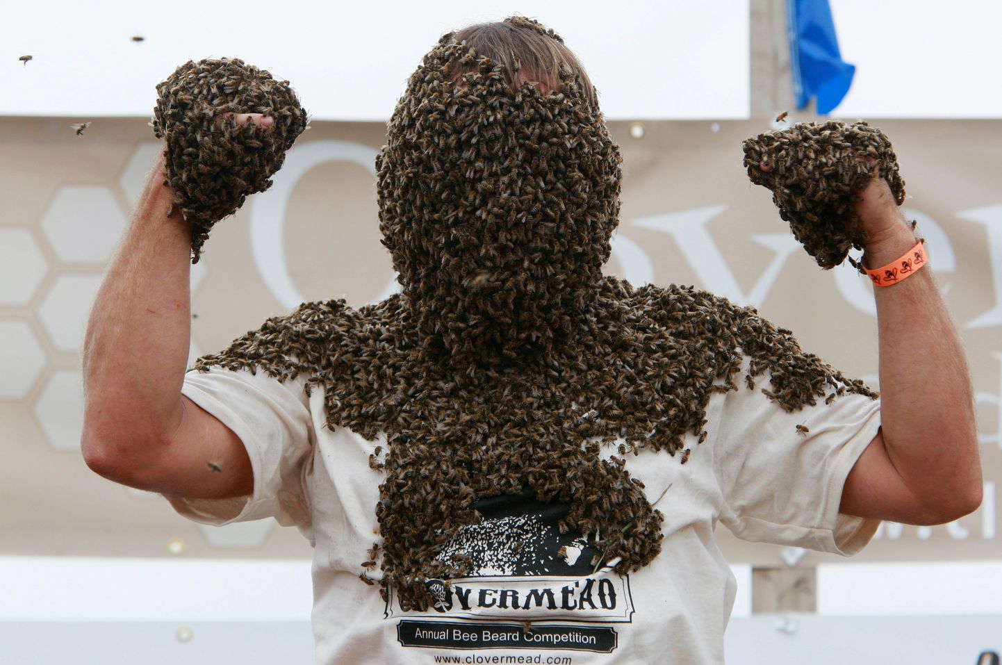 Kanada Ontario «Mesilashabeme» võistluse võitja Tibor Szabo