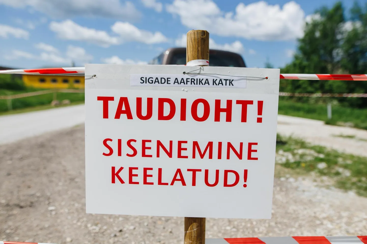 Kui katk jõuab farmi, tuleb seal kõik sead hukata.