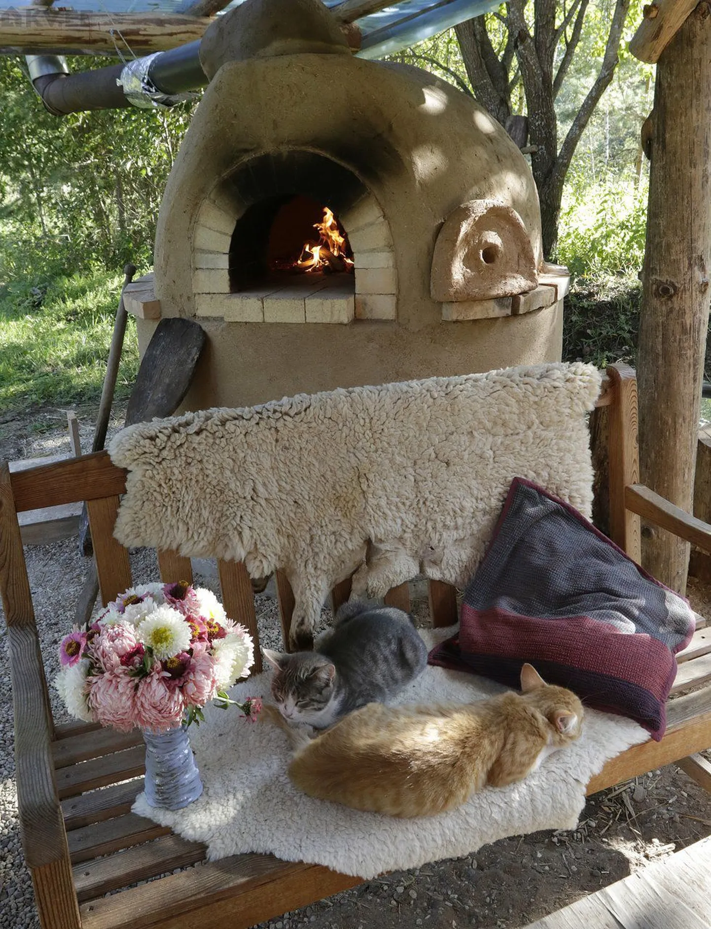 Artikli foto