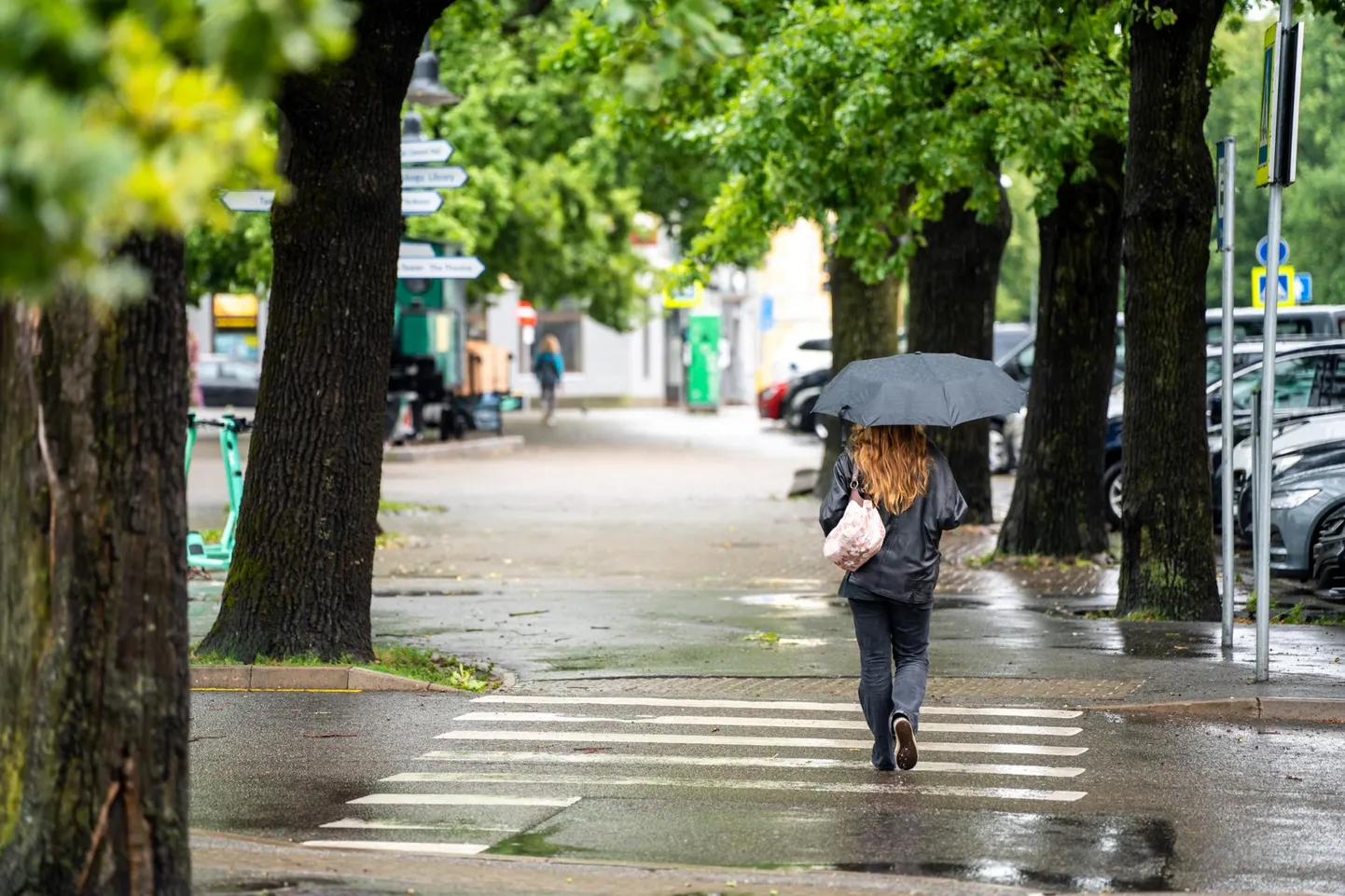 Keskkonnaagentuuri prognoosi kohaselt liigub lähiajal üle Eesti hoogsajupilvi.