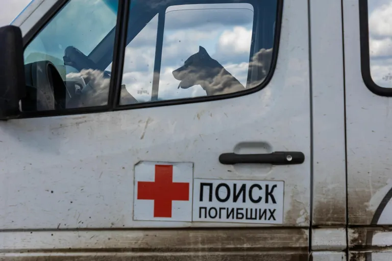 A dog in a car where the remains of people who died in the liberated areas of Ukraine are collected. At the same time, the car crew collects what is left of the Russian tank crew that was hit.